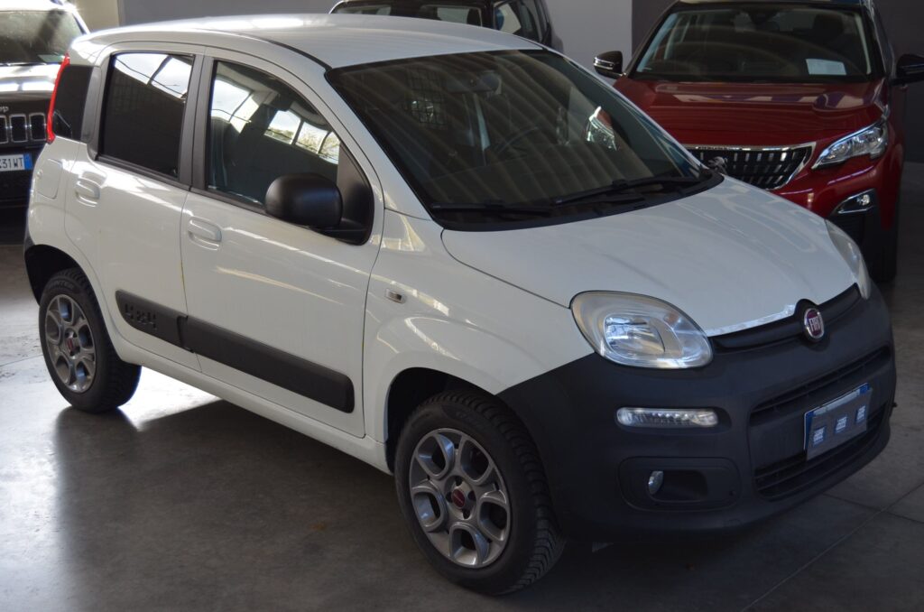 Fiat nuova Panda 4x4 1.3 mj 80 cv Van 2 posti